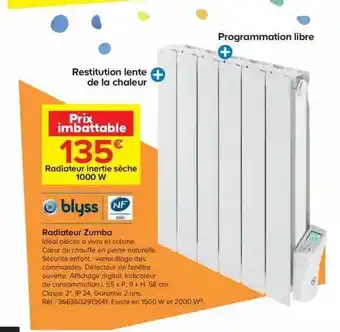 Castorama Radiateur Zumba offre