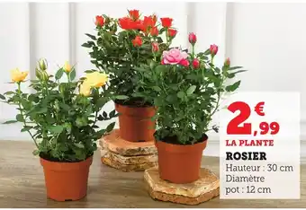 Bi1 Rosier offre