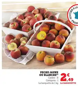 Bi1 Peche jaune ou blanche offre