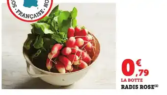 Bi1 Radis rose offre