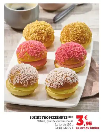 Bi1 6 mini tropeziennes offre