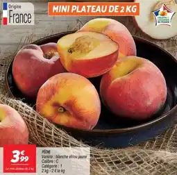 Netto Pêche offre