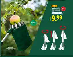 Lidl Cueille-fruits télescopique offre