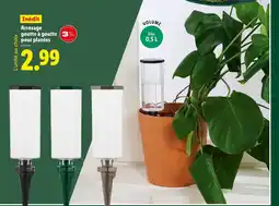 Lidl Arrosage goutte à goutte pour plantes offre