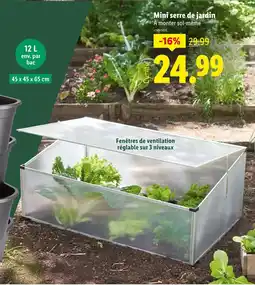 Lidl Mini serre de jardin offre