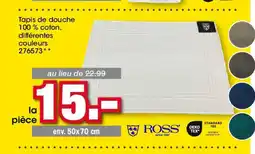 Möbel Martin Tapis de douche offre