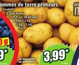 Norma Pommes de terre primeurs offre