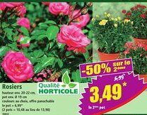 Norma Rosiers offre