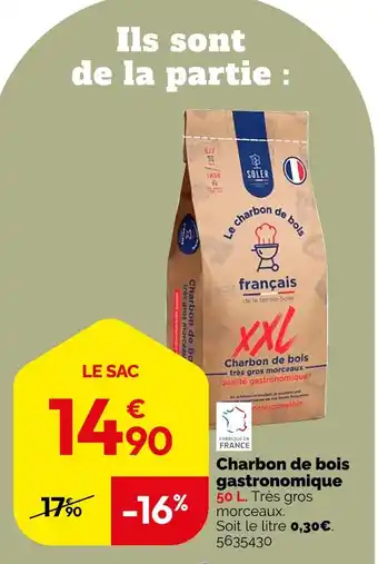 Weldom SOLER Charbon de bois gastronomique offre