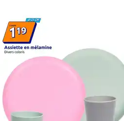 Action Assiette en mélamine offre