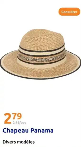 Action Chapeau Panama offre
