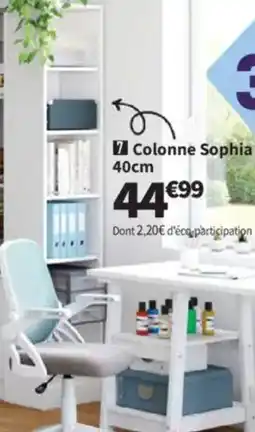 Conforama Colonne Sophia offre
