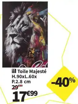 Conforama Toile Majesté offre