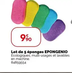 Weldom EPONGENIO Lot de 5 éponges offre