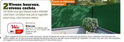 Weldom Brise vue offre
