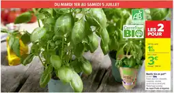 Carrefour Basilic bio en pot offre