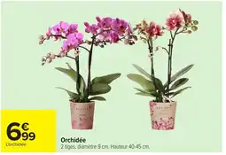 Carrefour Orchidée offre