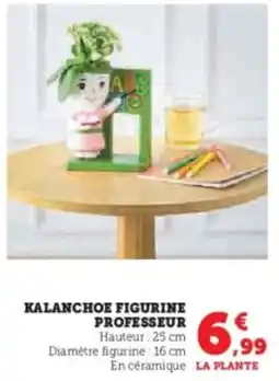 Super U Kalanchoe figurine professeur offre