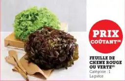 Super U Feuille de chene rouge ou verte offre