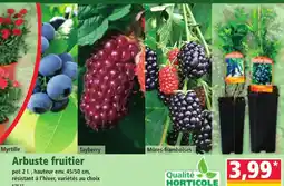 Norma Arbuste fruitier offre