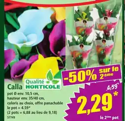 Norma Calla offre