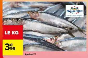 Carrefour SARDINE offre