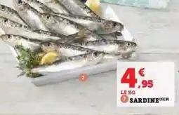 Hyper U SARDINE offre