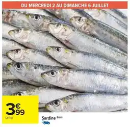 Carrefour Market SARDINE offre