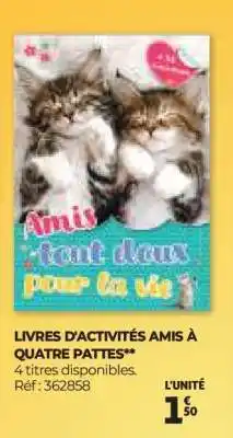 Auchan LIVRES D'ACTIVITÉS AMIS À QUATRE PATTES offre