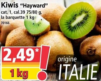 Norma Kiwis "hayward" offre