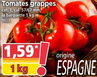 Norma Tomates grappes offre