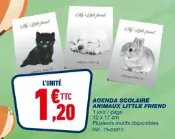 Bureau Vallée AGENDA SCOLAIRE ANIMAUX LITTLE FRIEND offre