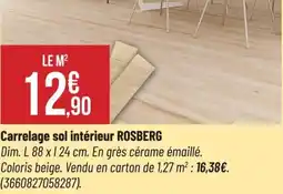 Bricorama Carrelage sol intérieur Rosberg offre
