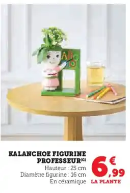 U Express Kalanchoe figurine professeur offre