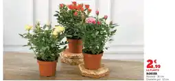 Hyper U Rosier offre