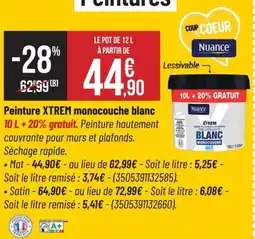 Bricorama Peinture xtrem monocouche blanc offre