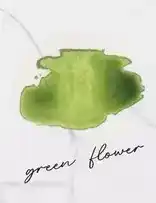 Porcelanosa Green flower coloursing offre