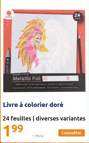 Action Livre à colorier doré offre