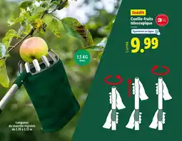 Lidl Cueille-fruits télescopique offre