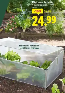 Lidl Mini serre de jardin offre