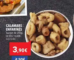 Gel 2000 Calamars enfarinés offre