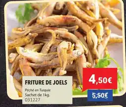 Gel 2000 Friture de joels offre