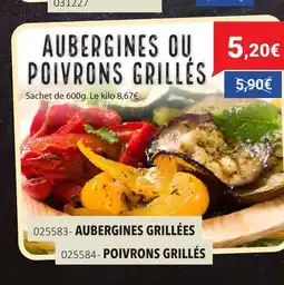 Gel 2000 Aubergines ou poivrons grillés offre