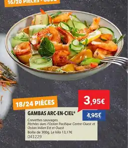 Gel 2000 Gambas arc-en-ciel offre
