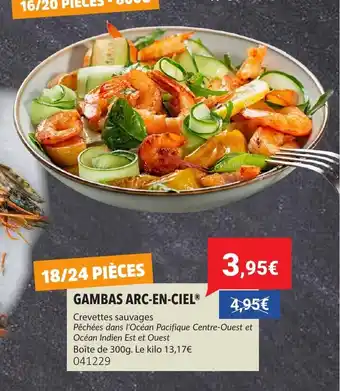 Gel 2000 Gambas arc-en-ciel offre