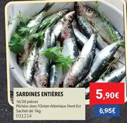 Gel 2000 Sardines entières offre