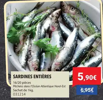 Gel 2000 Sardines entières offre