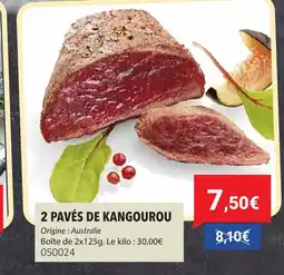 Gel 2000 2 pavés de kangourou offre
