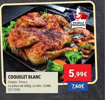 Gel 2000 Coquelet blanc offre