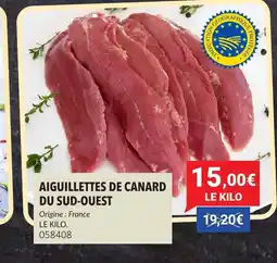 Gel 2000 Aiguillettes de canard du sud-ouest offre